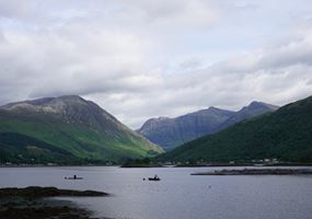 SAVED: Validating models to predict and measure sea lice on salmon