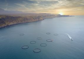 ExPAND in2 the Future: Realising the full capacity of the Scottish salmon industry