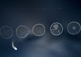 INCREASE: Enhancing predictive models for organic waste dispersal