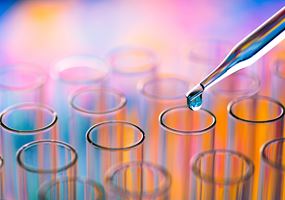 Optimising vaccination formulations for Ballan wrasse