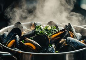 Investigating influences on shell breakage in Scottish mussels
