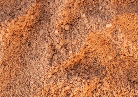 Evaluating CO₂-derived single-cell protein for sustainable fish feed