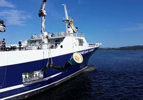 SmoothMove: a low-density fish loading system for enhanced salmon welfare